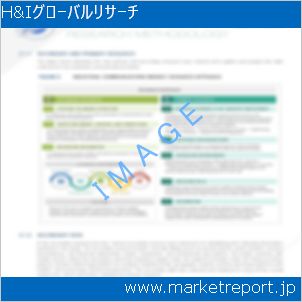 市場と産業調査レポートのイメージ